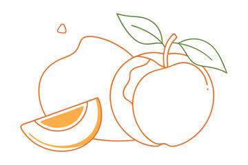 Vibrant Line Color Drawing of Peach with Slice Vector Illustration