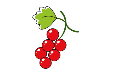 Vibrant Redcurrant Line Art Vector Illustration – Colorful Botanical Drawing