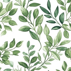 a close up of a green plant with leaves on a white background