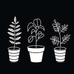 Black and white illustration of three potted plants, each with distinct leaves, set against a solid black background.