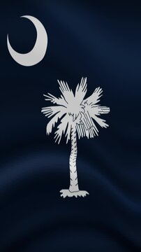 South Carolina State Waving Flag in Vertical Orientation. Realistic Flag Animation. Seamless Loop Background.