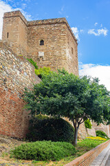 Fototapeta premium A view of Malaga's Alcazaba walls, featuring historic stone walls, defensive towers, lush greenery, and a blue sky. Impressive medieval Moorish architecture. Andalusia, Spain.