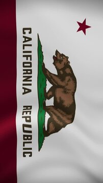 California State Waving Flag in Vertical Orientation. Realistic Flag Animation. Seamless Loop Background.