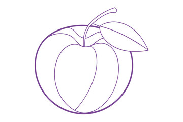 Vibrant Line Color Drawing of Plum Elegant Vector Illustration