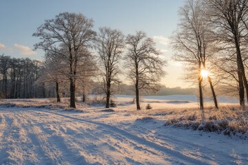 Christmas snowy landscape with trees,