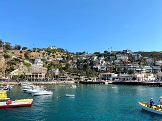 Fototapeta premium the marina on catalina