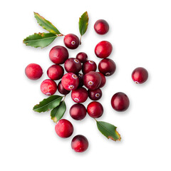 Fresh cranberries with green leaves isolated transparent background