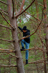 Man in casual clothing jeans and black hoodie, climbing a high pine tree as leisure activity in stroll in woods having fun