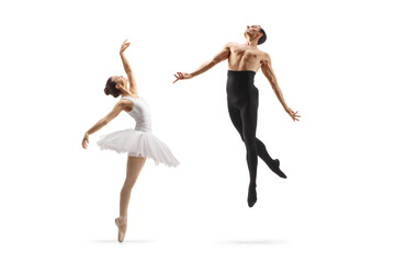 Professional ballet dancers performing