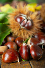 Chestnuts with leaves and burs on a wooden table