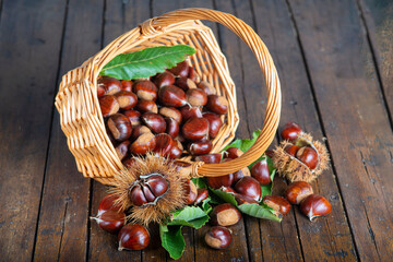 Chestnuts with leaves and burs on a wooden table