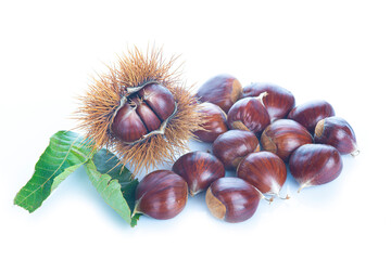 Chestnuts with leaves isolated on a white background

