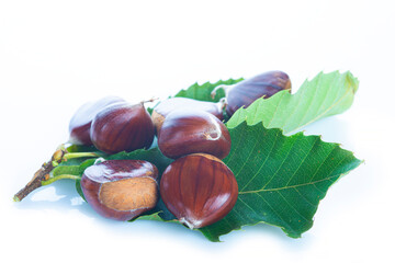 Chestnuts with leaves isolated on a white background
