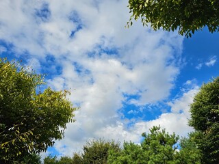 하늘, 구름, 푸름, 자연, 맑음, Sky, Clouds, Blue, Nature, Clear