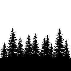 Obraz premium Tall and short pine trees creating a forest silhouette at dusk.