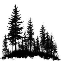 Pine forest in silhouette with trees of different heights and sizes.