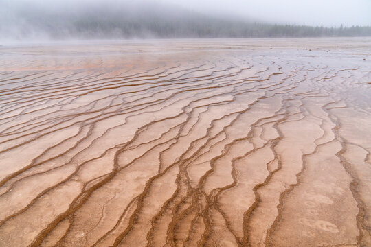 grand prismatic spring, yellowstone 