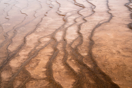 grand prismatic spring, yellowstone 