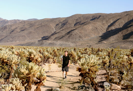 Content Creator in Joshua Tree