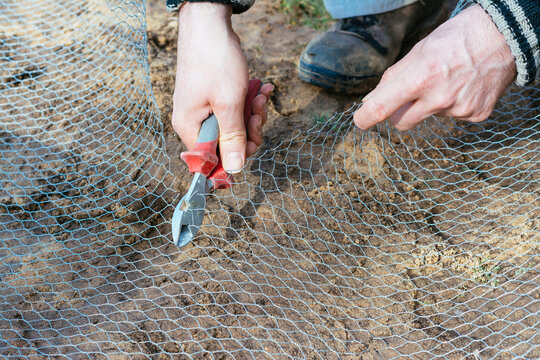 Cutting a chicken wire
