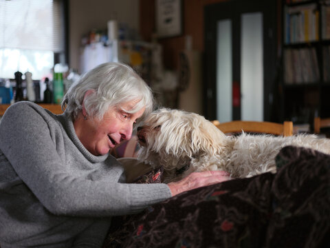 The bond between an older transgender woman and her pet dog