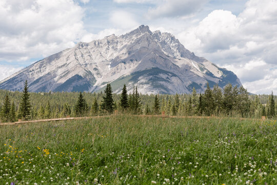 Mount Rundle Summer