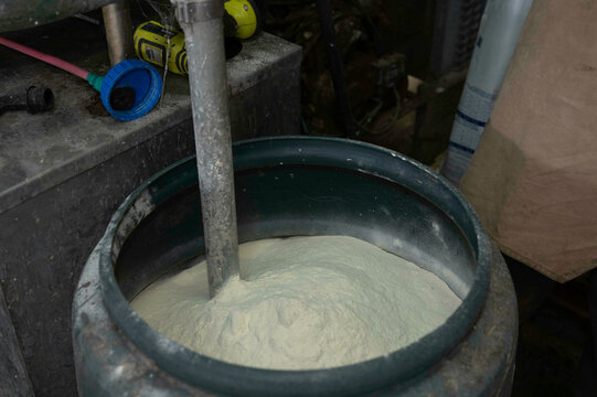 Milk feeding time