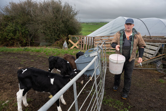 Milk feeding time