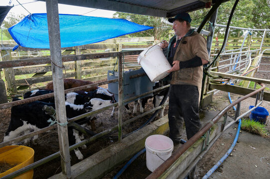 Milk feeding time