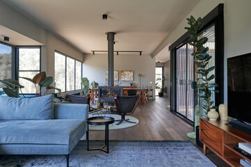 Modern living room design with spacious layout and greenery