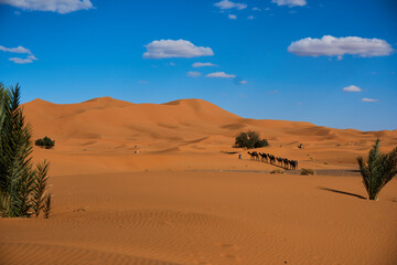 Footsteps of travelers crossing the golden dunes of a desert under a bright blue sky with scattered clouds