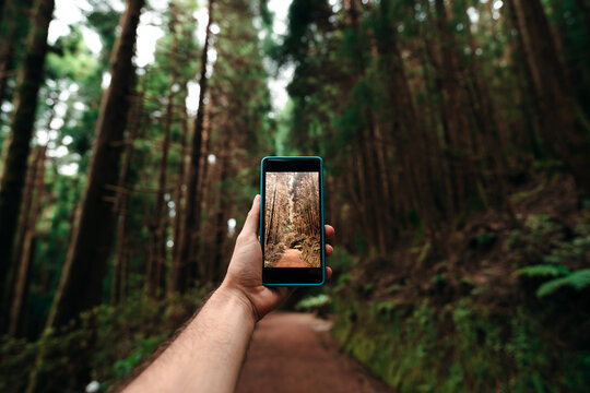 Hand holding a phone showing a picture