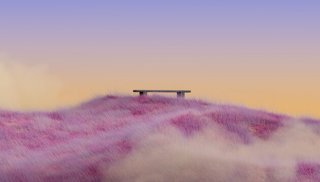 Lonely bench on a hill with pink grass