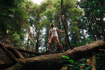 Adventure travel in a green forest