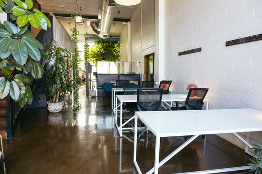 Bright coworking space with plants