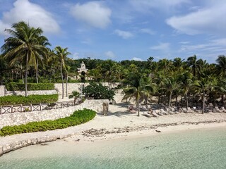 beach with palm trees