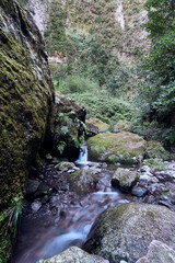 Serene stream flowing through lush greenery in a mountainous landscape during daylight hours