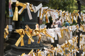 Los omikuji  © Poncho White