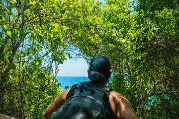 Man looking at the ocean through branches
