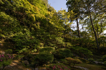 Paisaje de jardín japonés 
