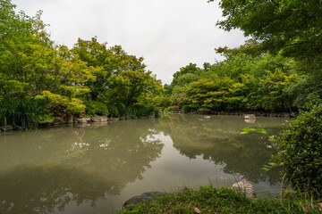 Paisaje de jardín japonés 