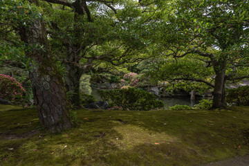 Paisaje de jardín japonés 