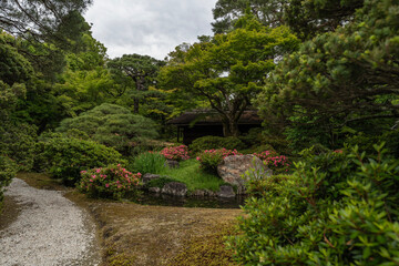 Paisaje de jardín japonés 