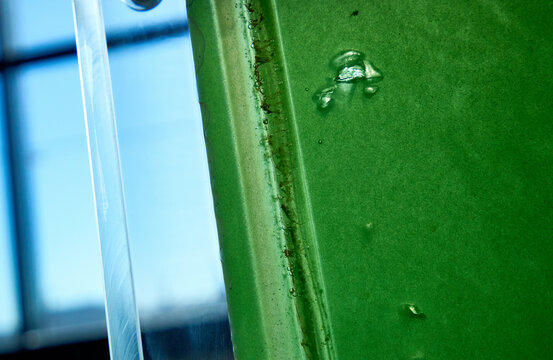 Microalgae bioreactor produces biomass from green sunlight energy