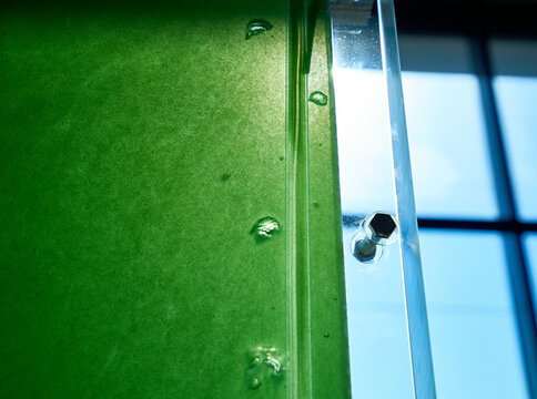 Micro-algae bioreactor uses chlorophyll for photosynthesis