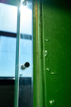 Sustainable energy from sunlight for growing microbial organisms