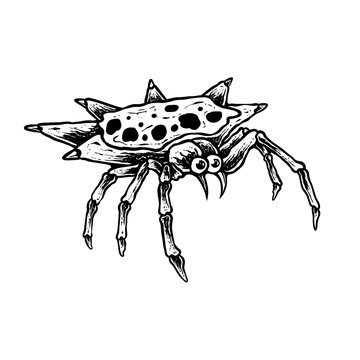 insects in old style antique hand drawn woodcut illustration