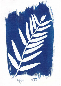 Cyanotype of a single botanical leaf print