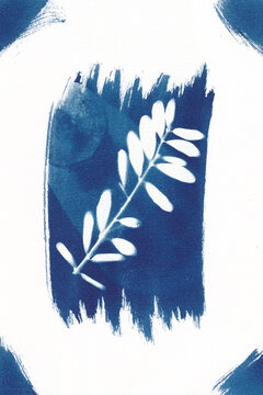 Cyanotype of botanical branch on textured blue background