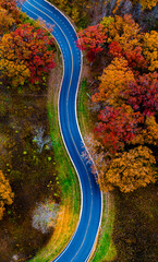 Aerial view  of a Path through Autumn Colours at Saint James Farm”?